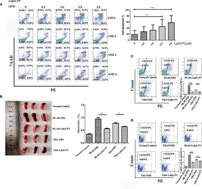 LukS-PV Induces Apoptosis via the SET8-H4K20me1-PIK3CB Axis in Human Acute Myeloid Leukemia Cells